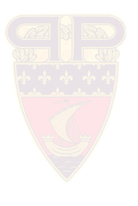Insigne PP